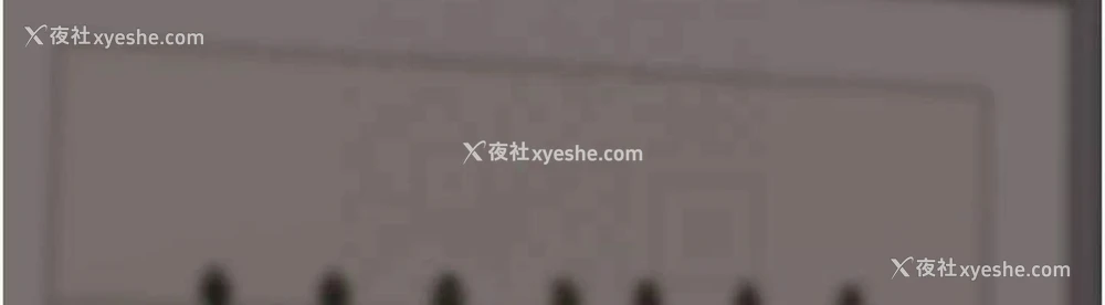 12P - 养父的女儿们