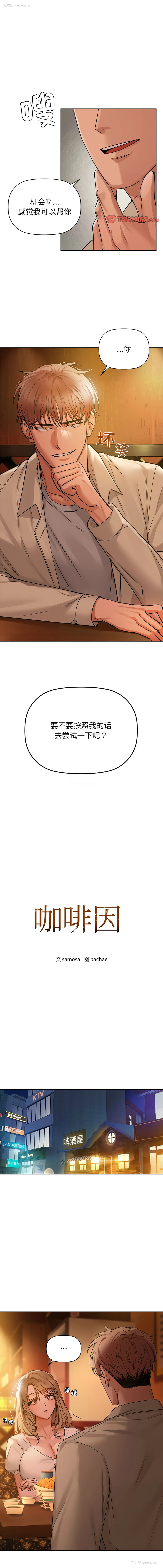 1P - 咖啡因