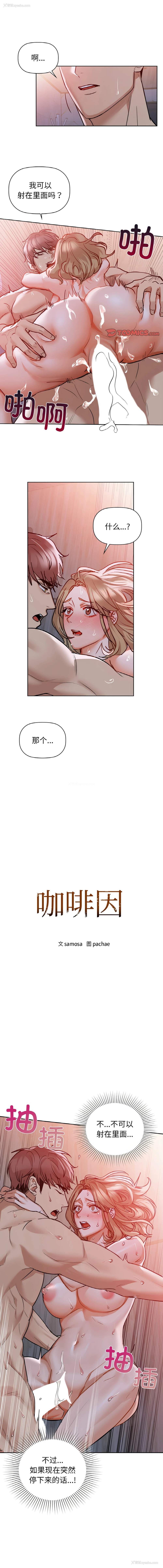 1P - 咖啡因