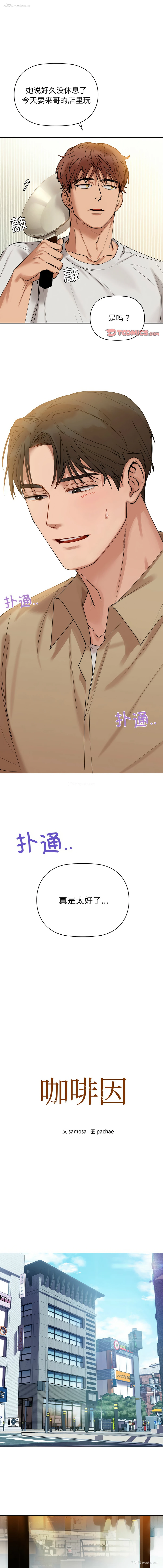 1P - 咖啡因
