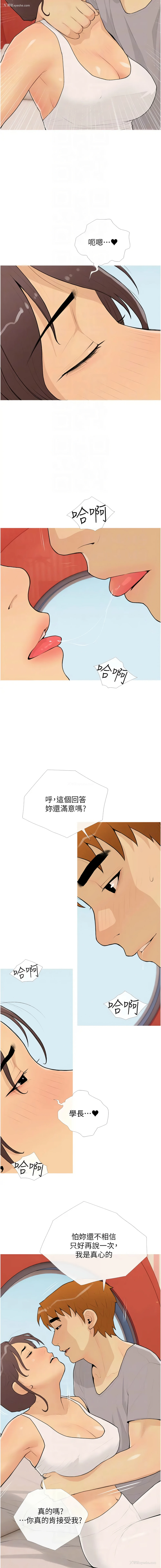 8P - 糖果爸爸的抢婚大作战