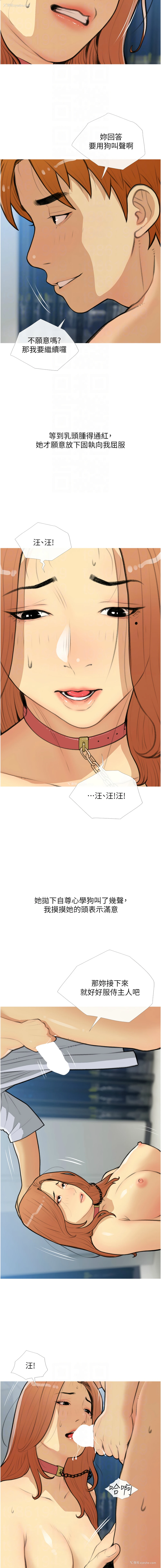 8P - 糖果爸爸的抢婚大作战