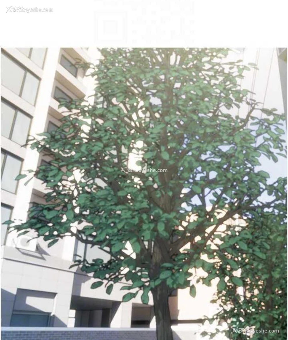 31P - 糖果爸爸的抢婚大作战