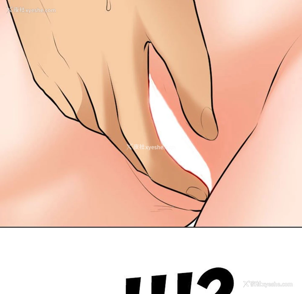 31P - 同事换换爱