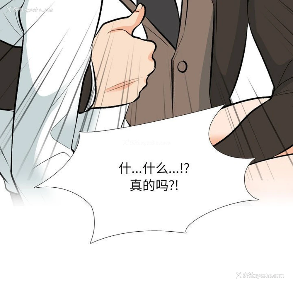 31P - 同事换换爱