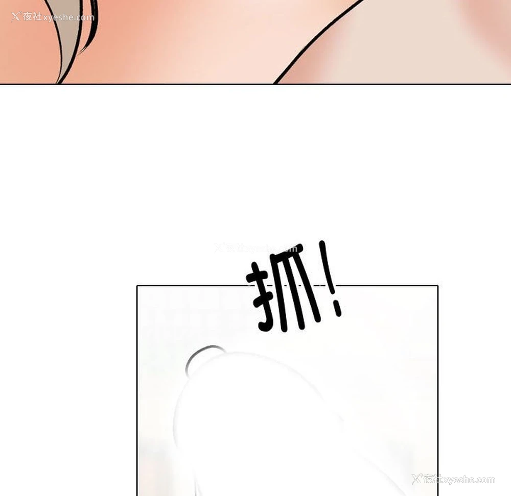 46P - 同事换换爱