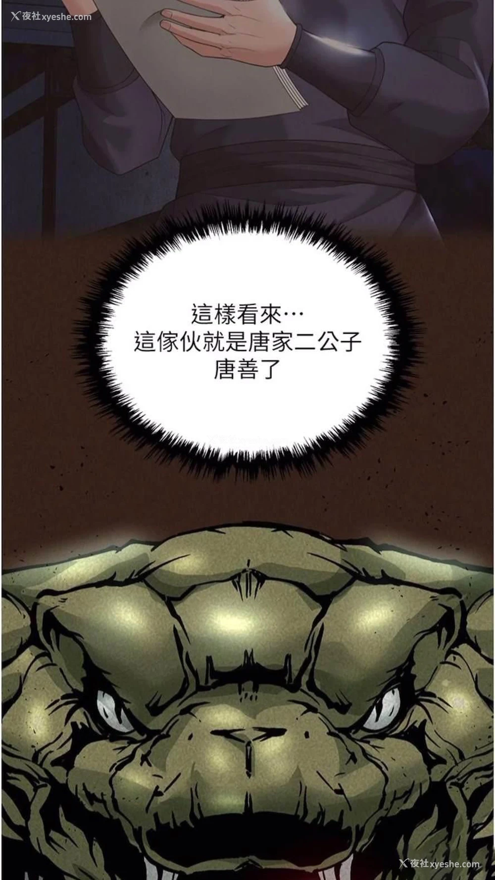 28P - 射雕英雄传：一捅天下