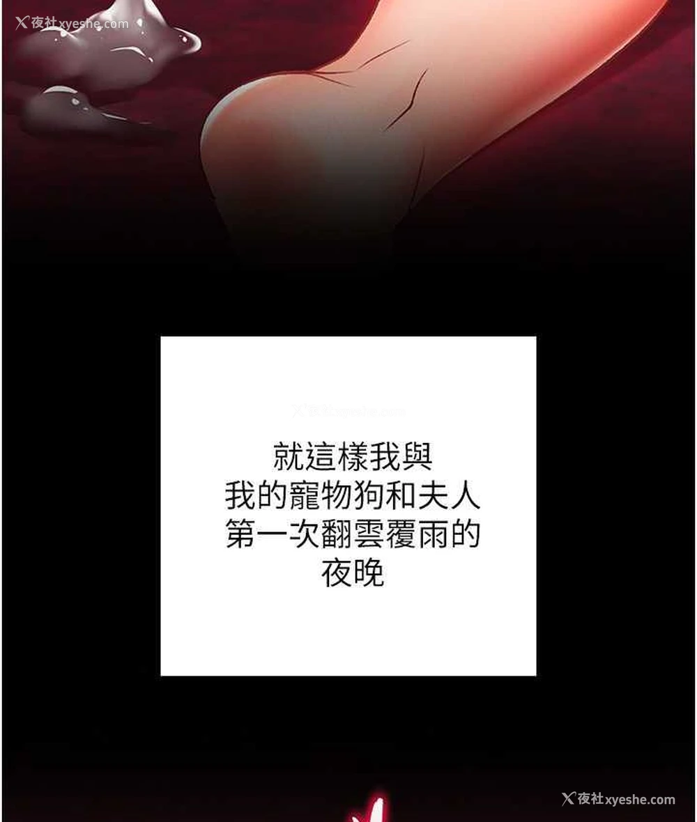 47P - 射雕英雄传：一捅天下