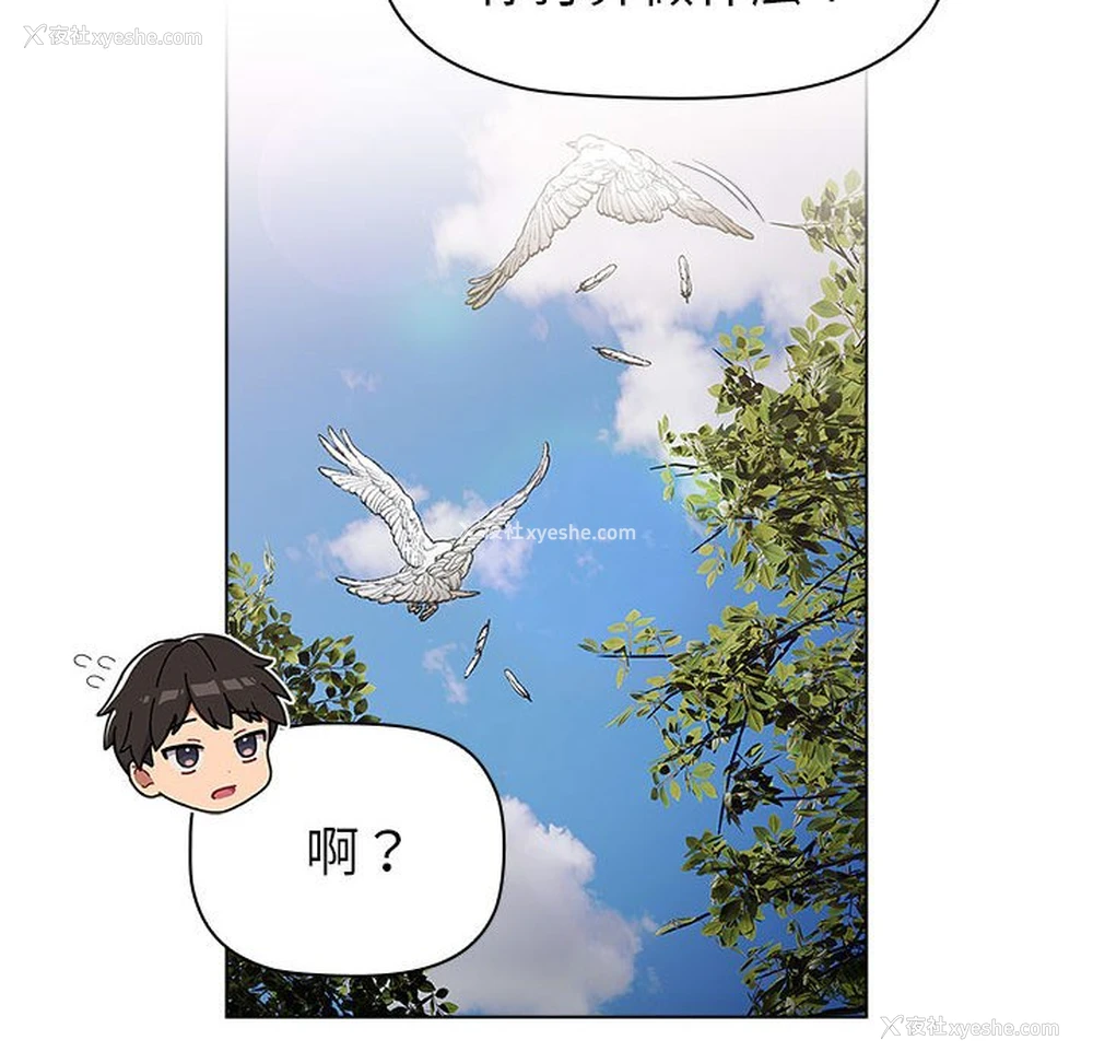 62P - 分组换换爱