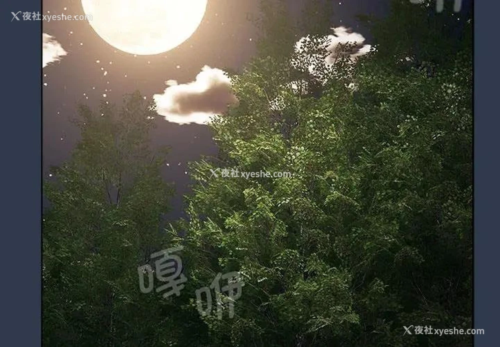 2P - 分组换换爱