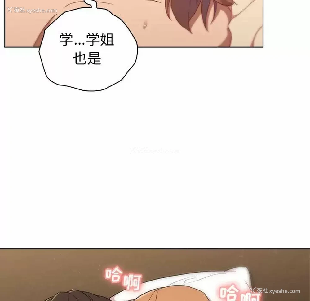 78P - 分组换换爱