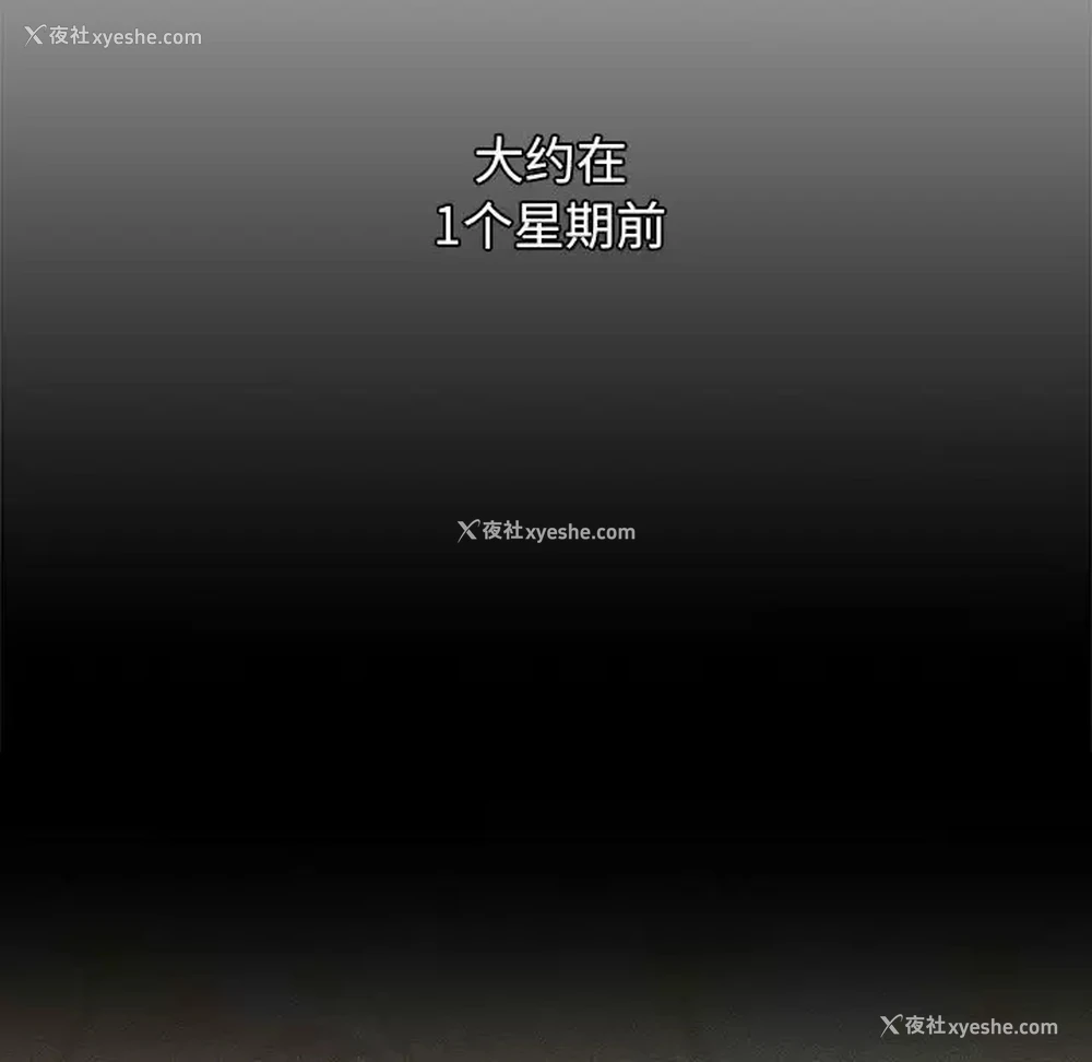 31P - 分组换换爱