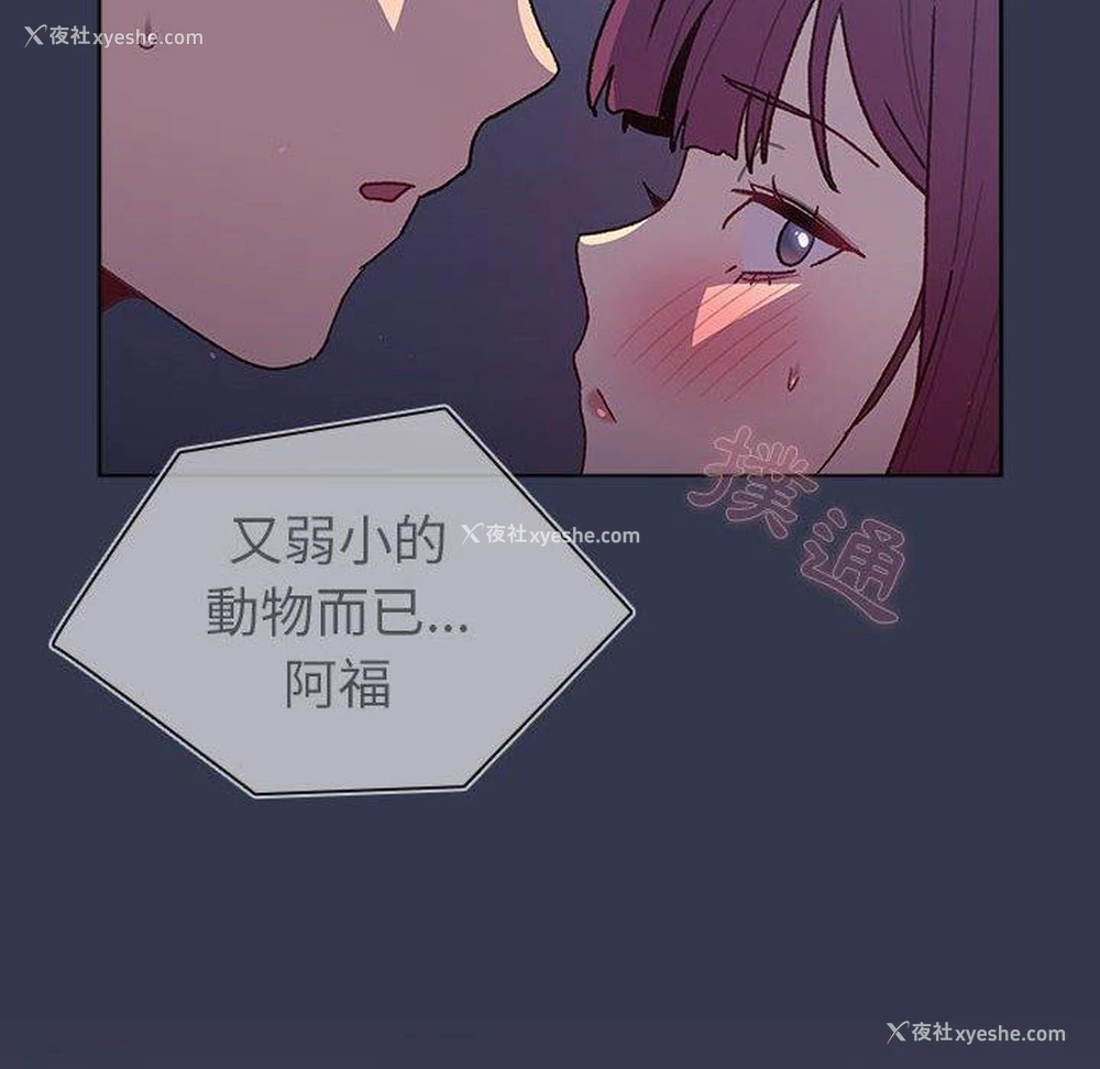22P - 分组换换爱