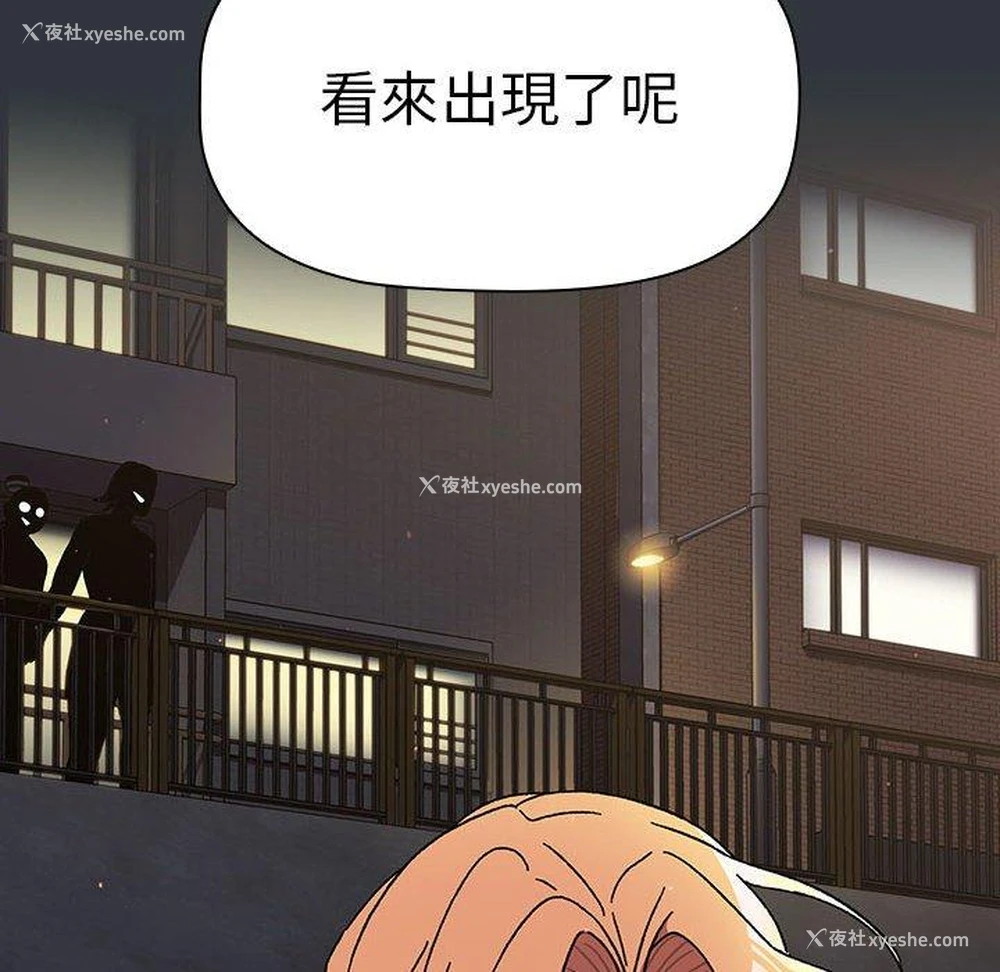 36P - 分组换换爱