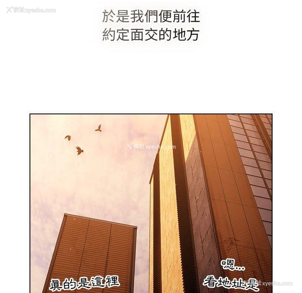 19P - 分组换换爱