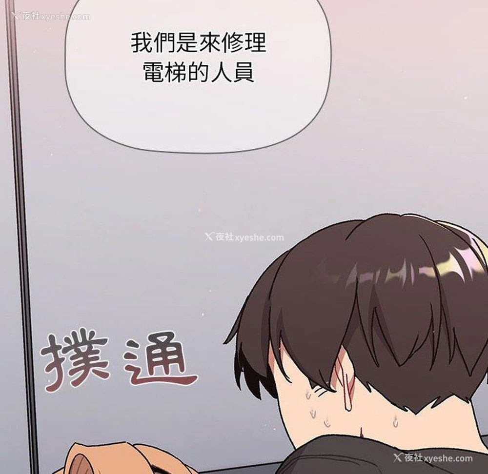 14P - 分组换换爱