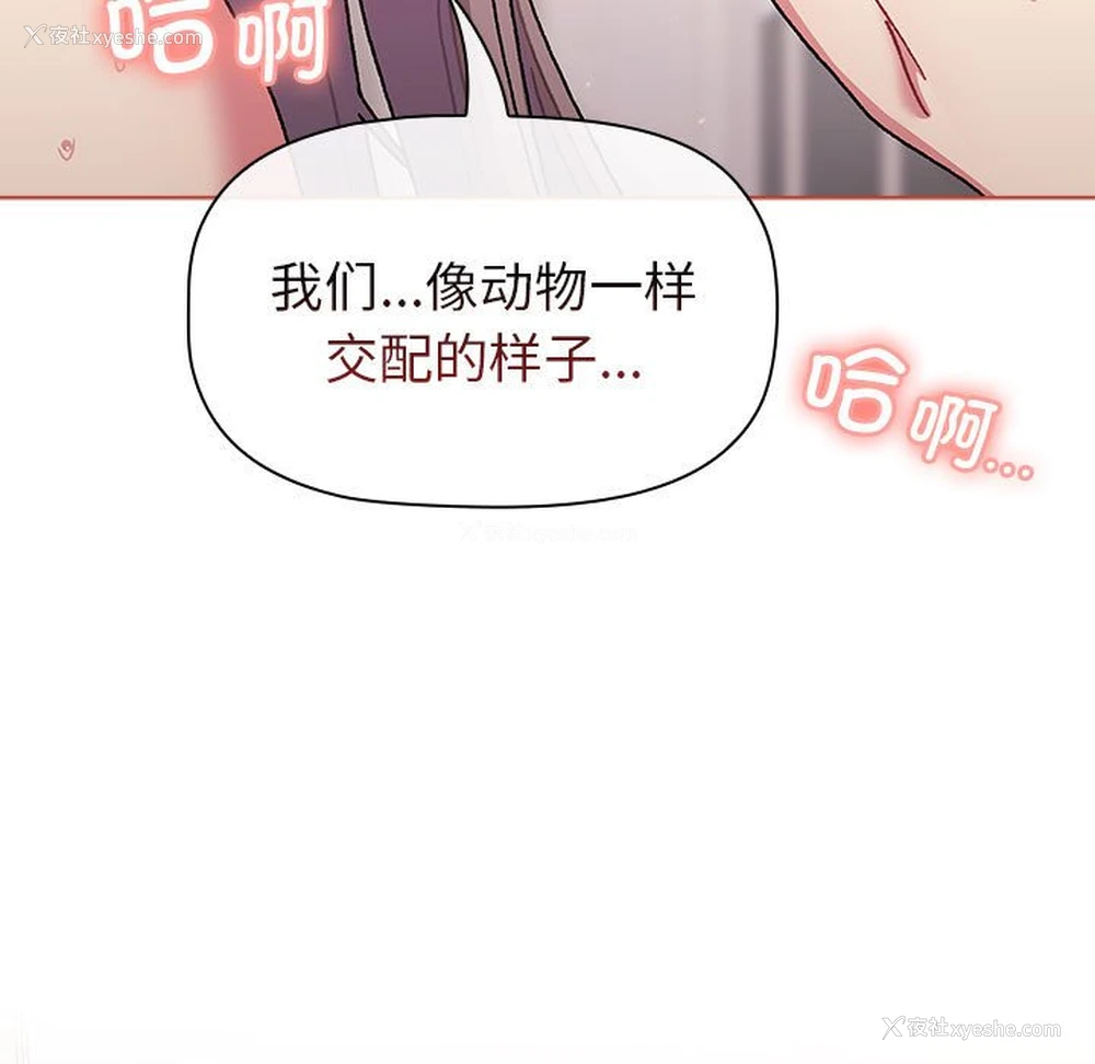 17P - 分组换换爱