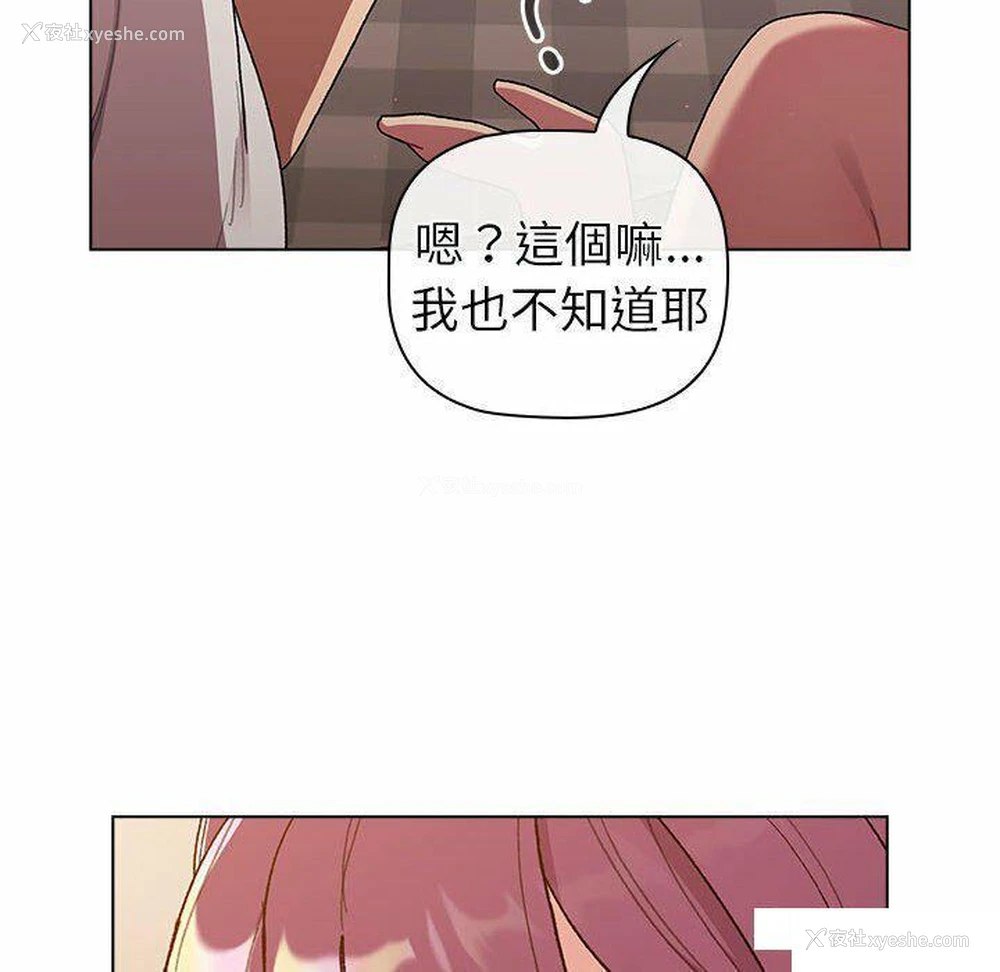 32P - 分组换换爱