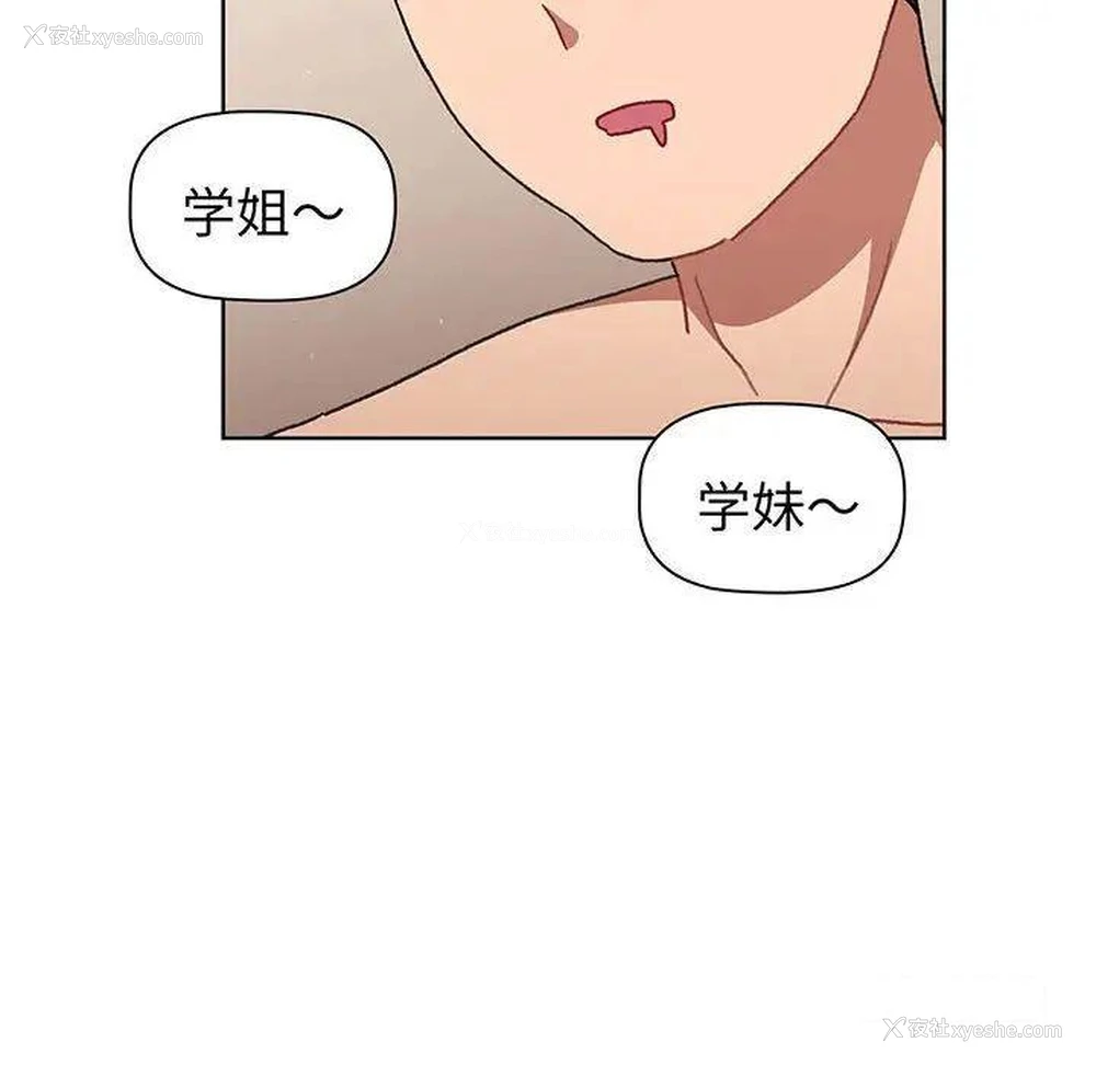 33P - 分组换换爱