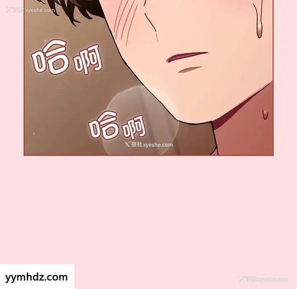 155P - 分组换换爱