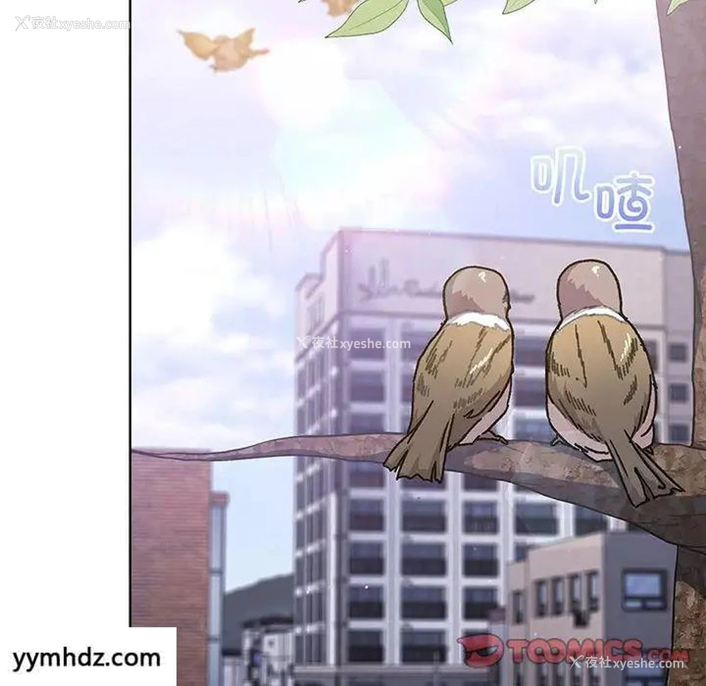 181P - 分组换换爱
