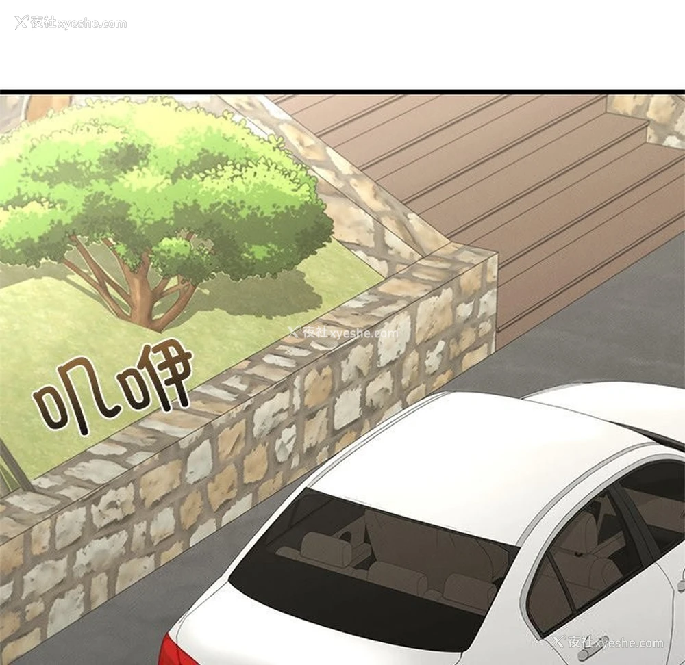 213P - 不该爱上你