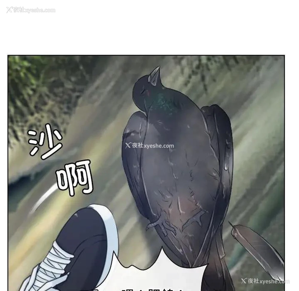 27P - 寻找初恋