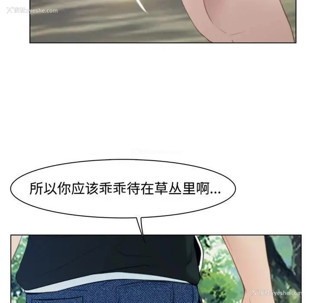 41P - 寻找初恋
