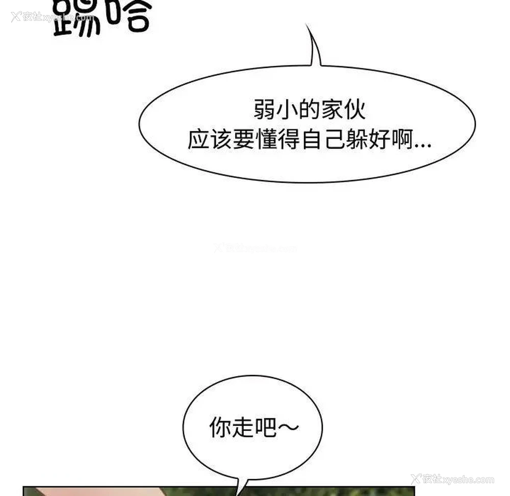 43P - 寻找初恋