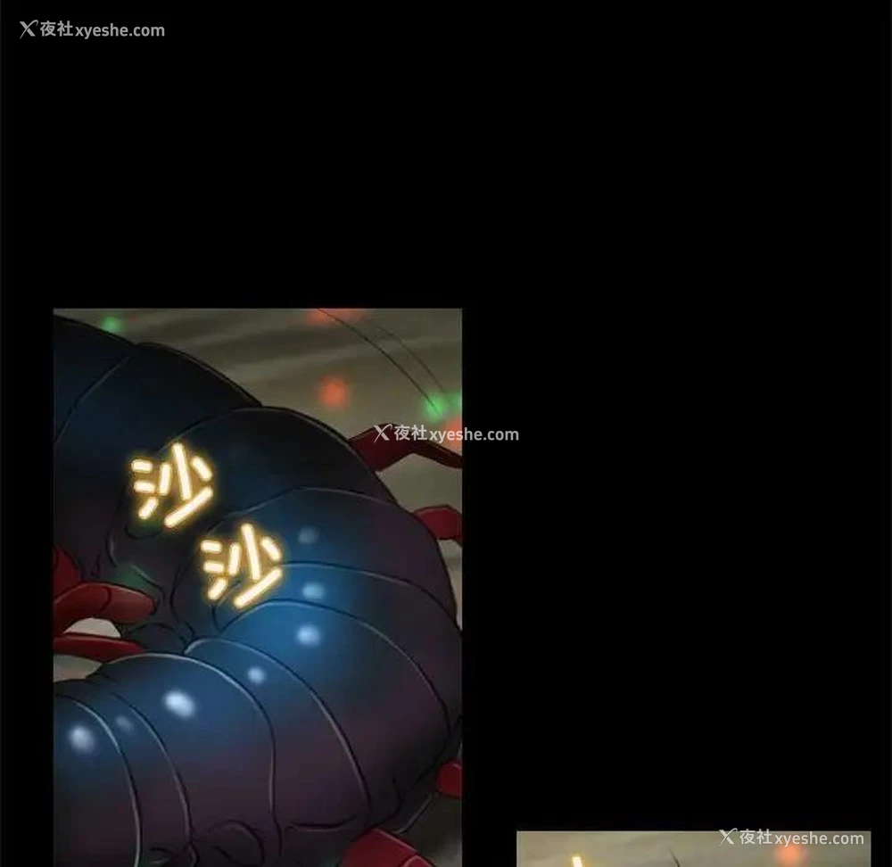 52P - 寻找初恋
