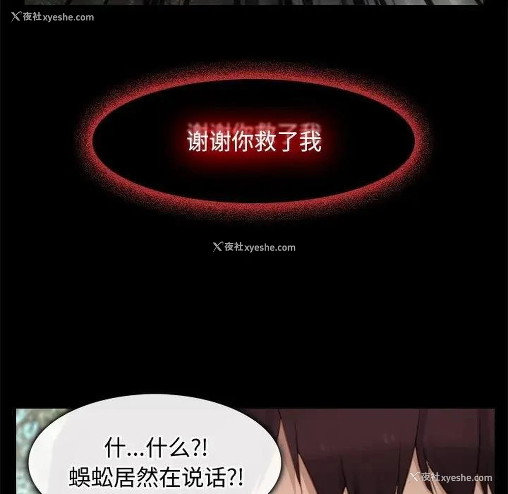 55P - 寻找初恋