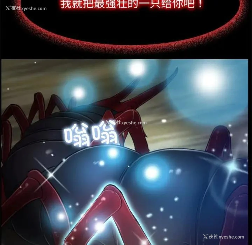 70P - 寻找初恋