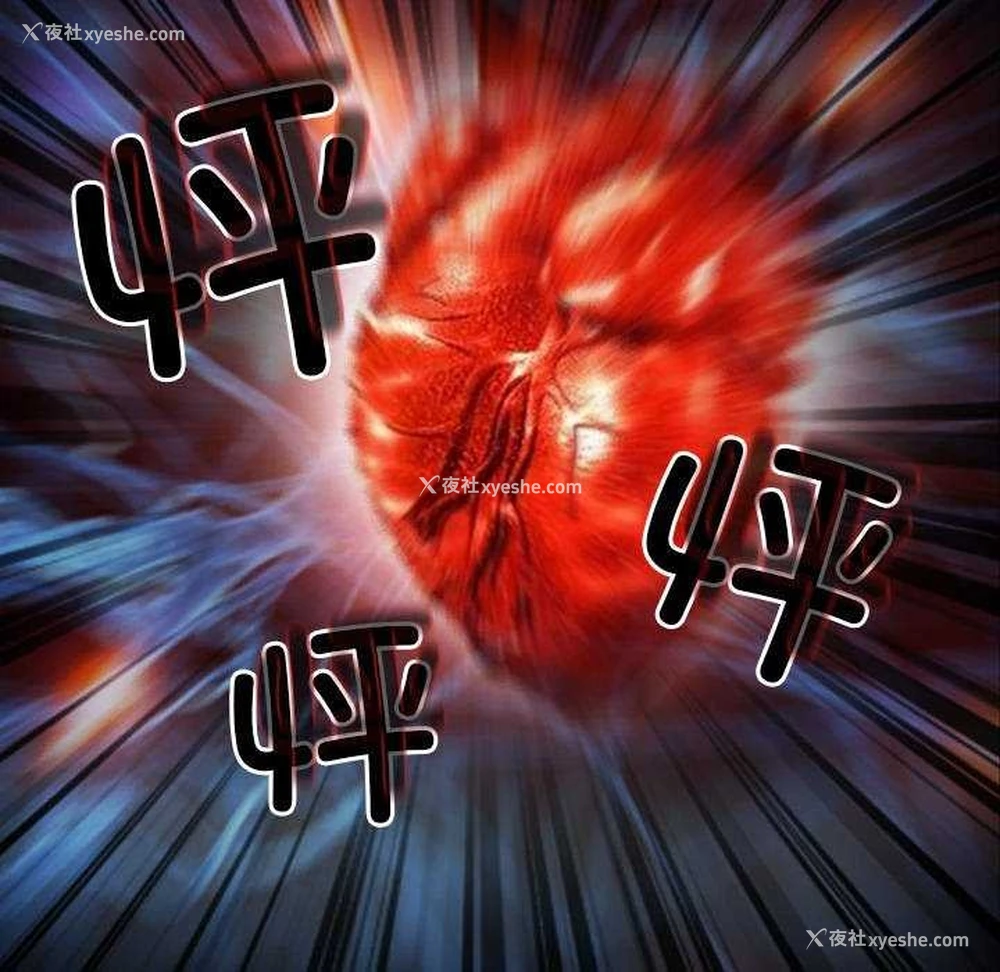 17P - 寻找初恋