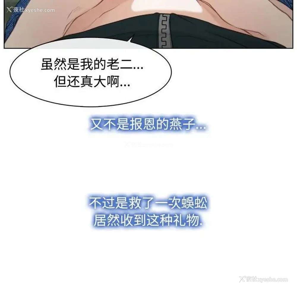 58P - 寻找初恋
