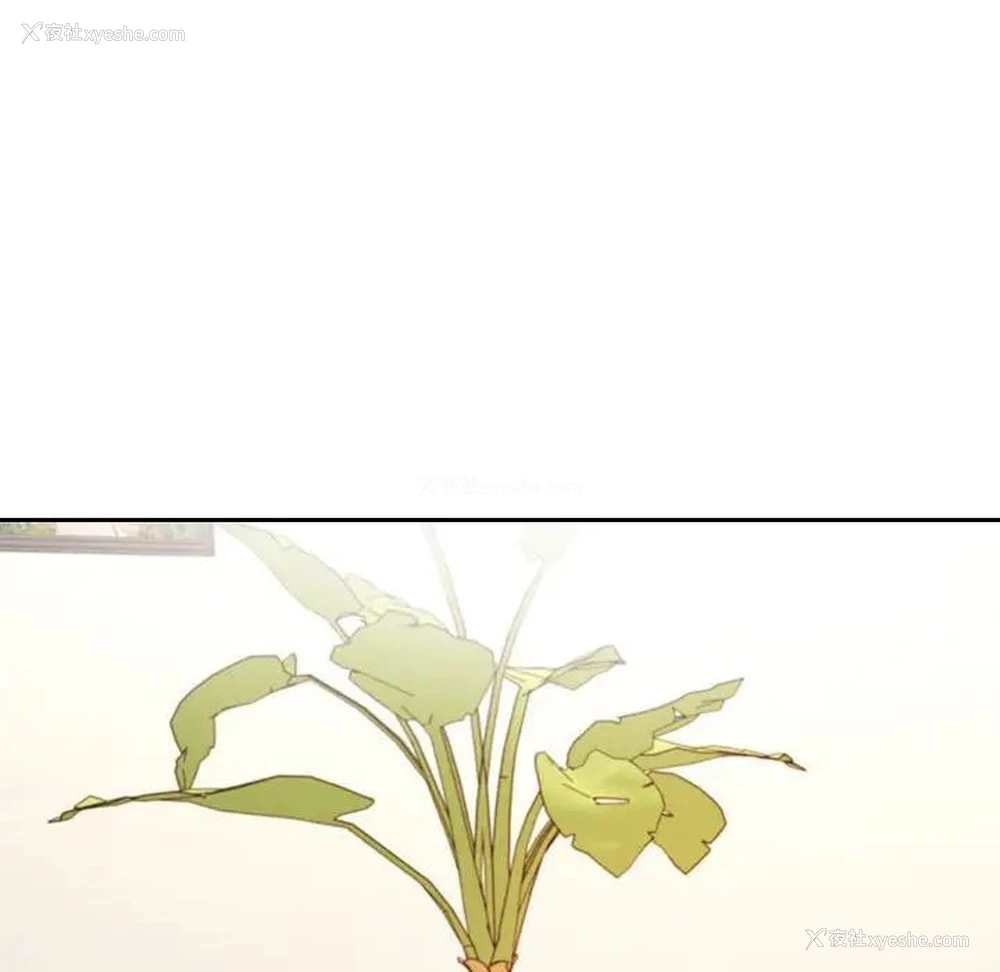 55P - 我的专属老师