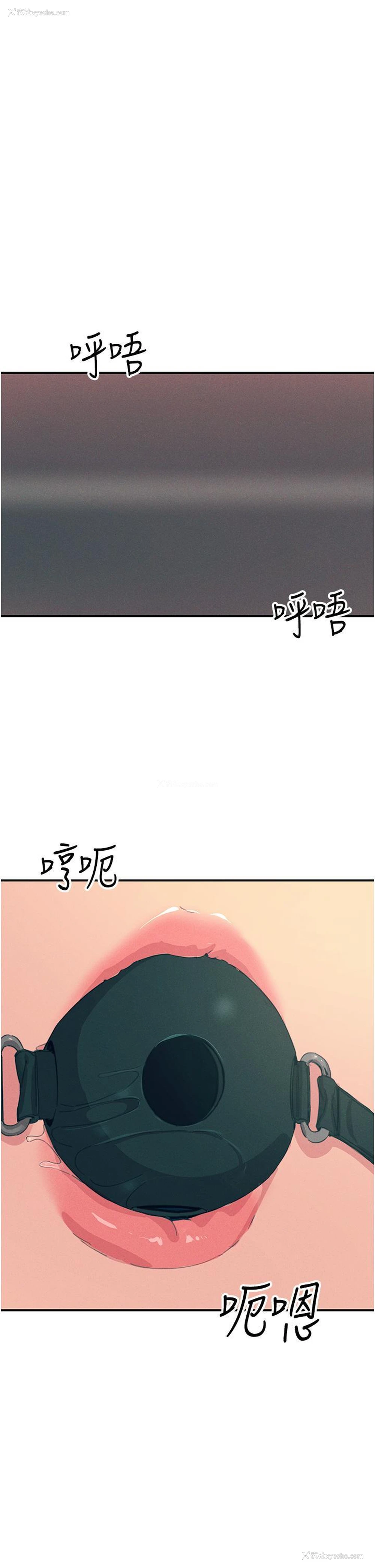 37P - 触电大师