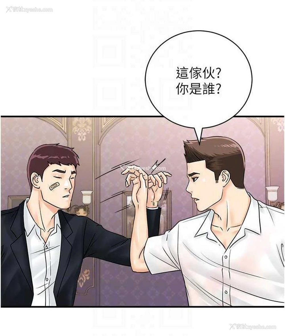 43P - 行动扫码鸡