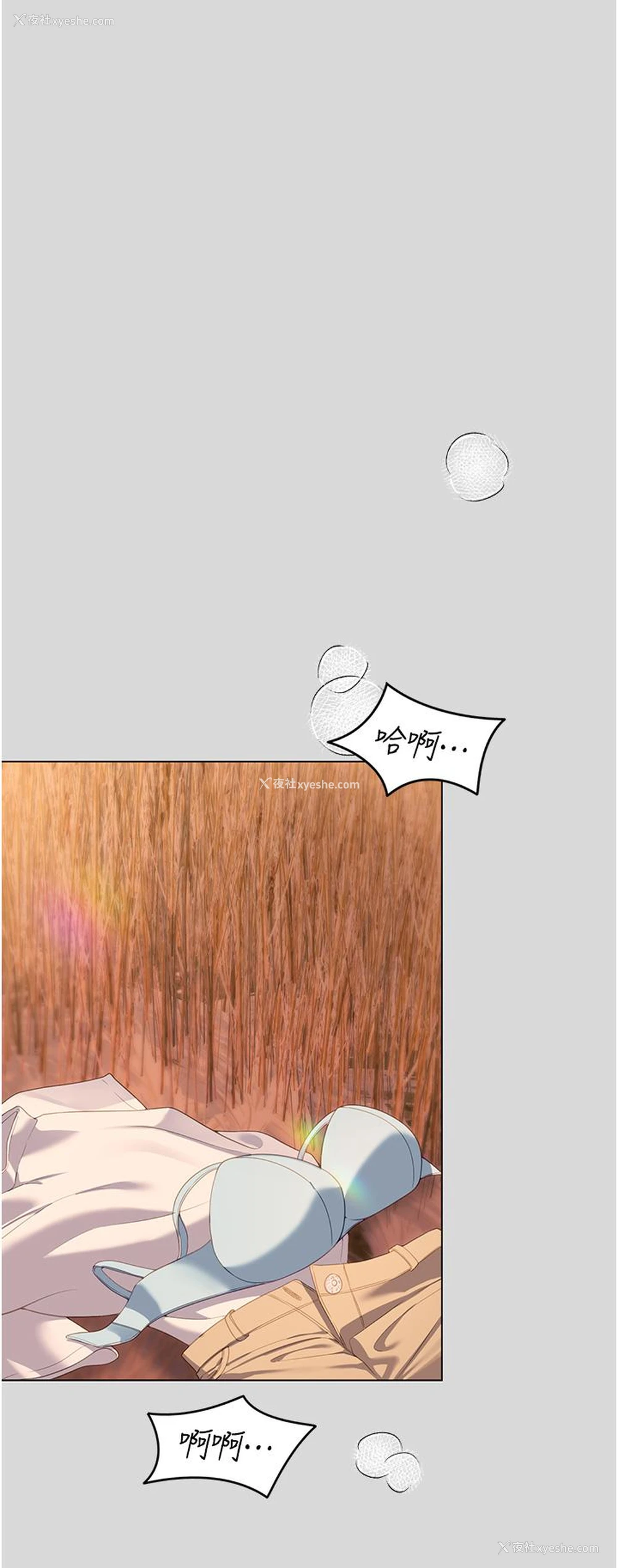 38P - 今晚就决定吃你了