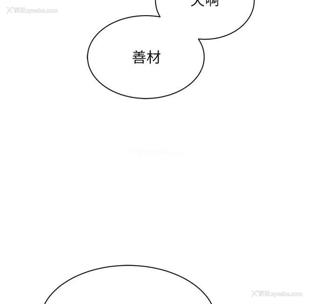 48P - 我的完美缪斯