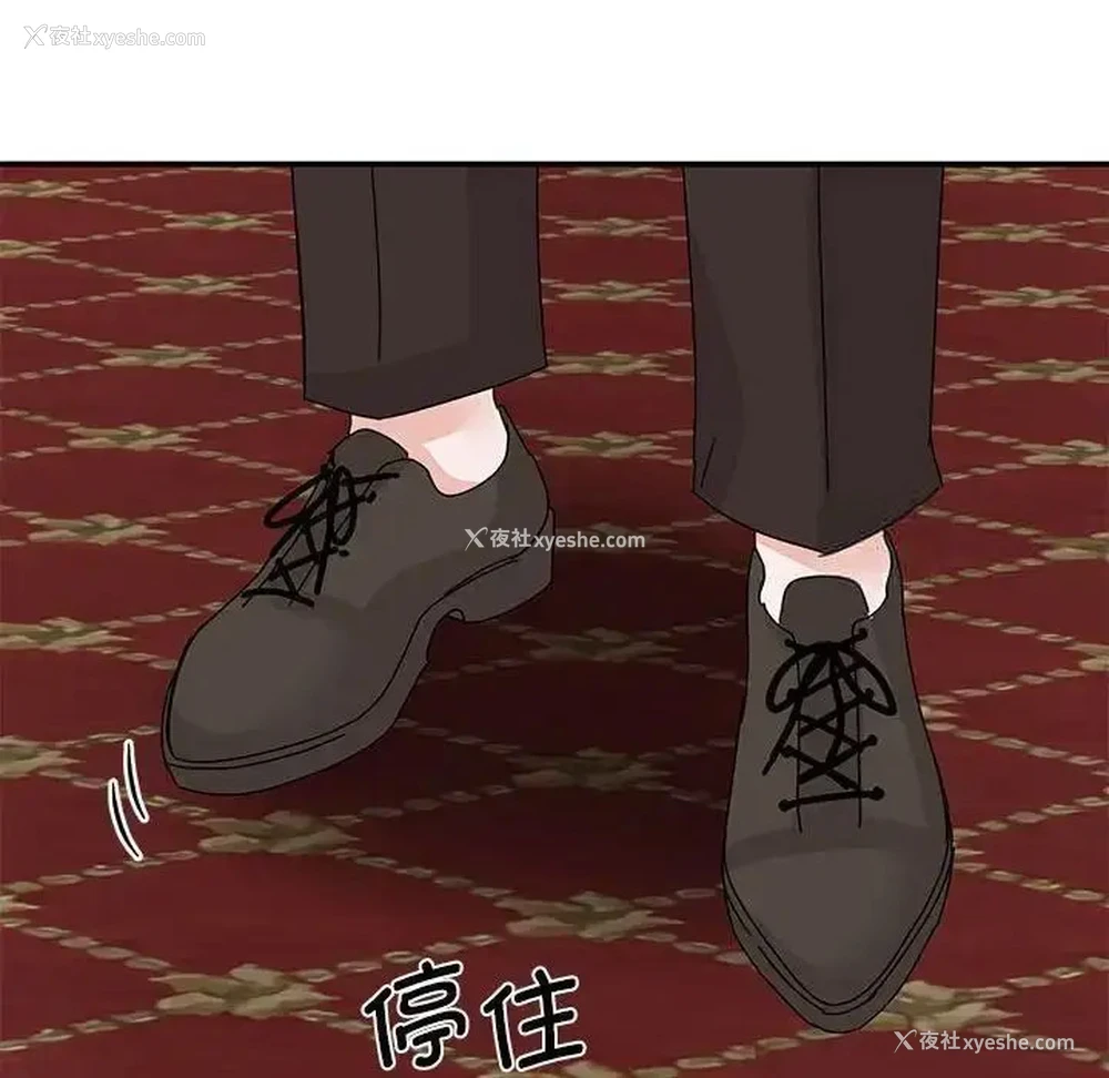 137P - 我的完美缪斯