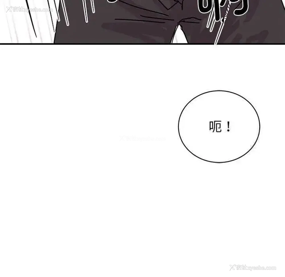 81P - 我的完美缪斯