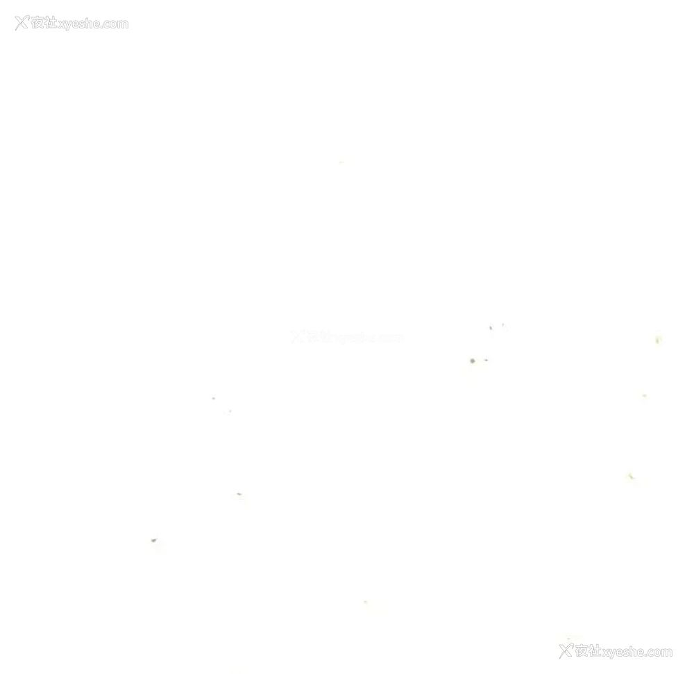 113P - 我的女王