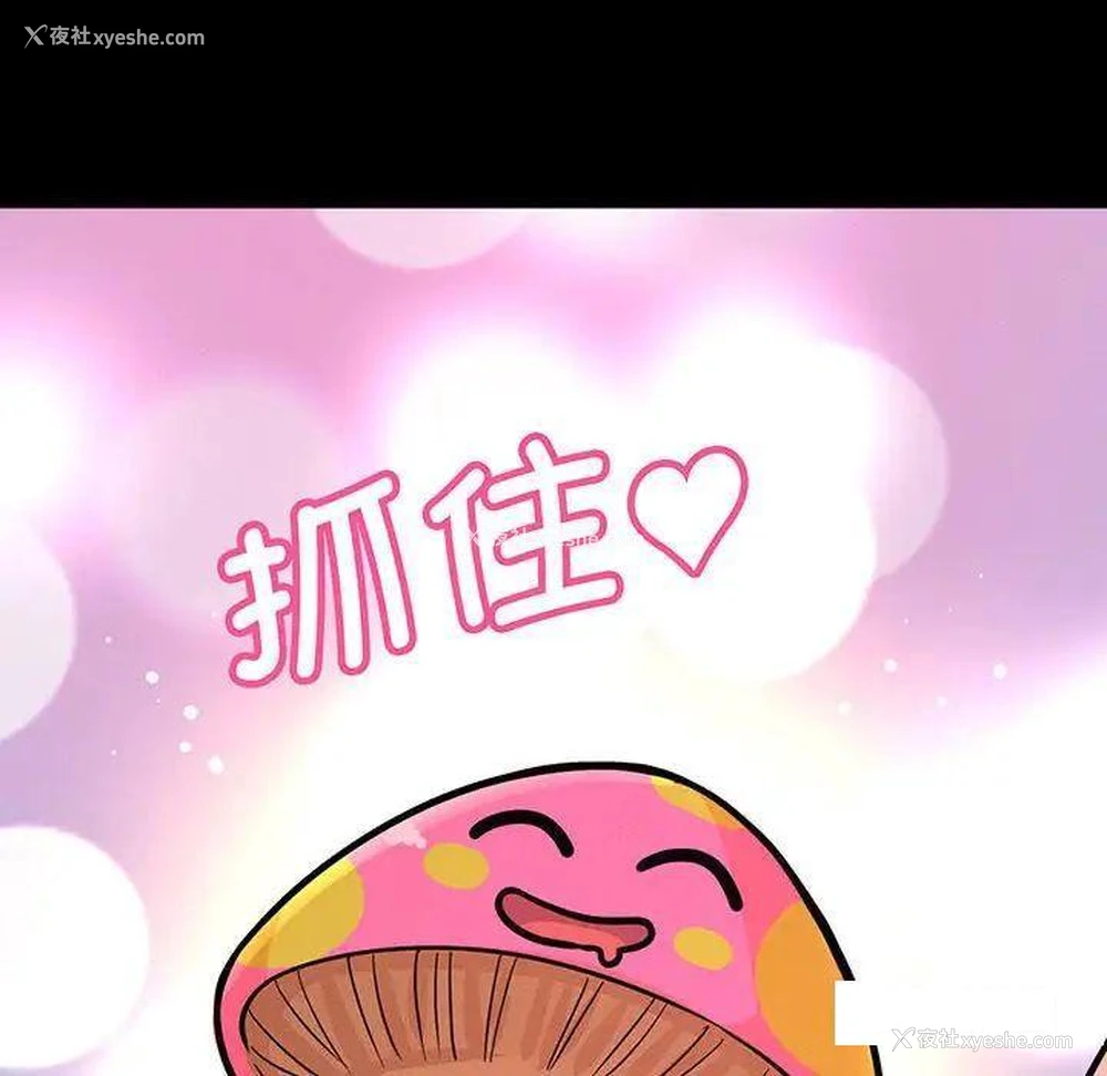 14P - 我的女王