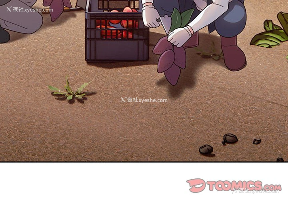 4P - 请把女儿交给我