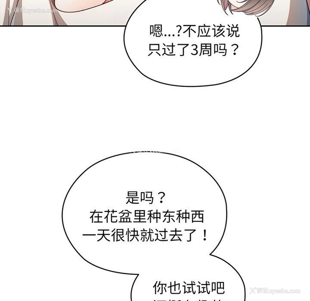 31P - 请把女儿交给我