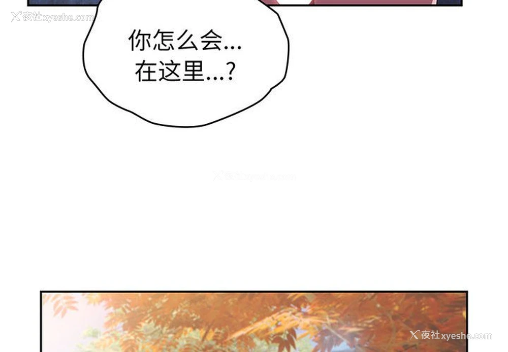 4P - 请把女儿交给我