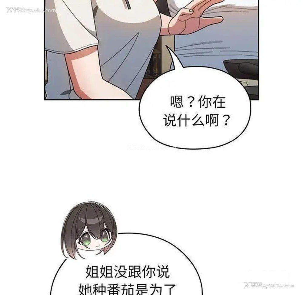 13P - 请把女儿交给我