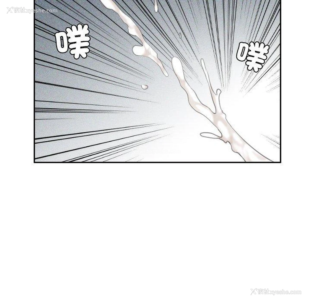 19P - 我的完美娃娃/我的专属娃娃