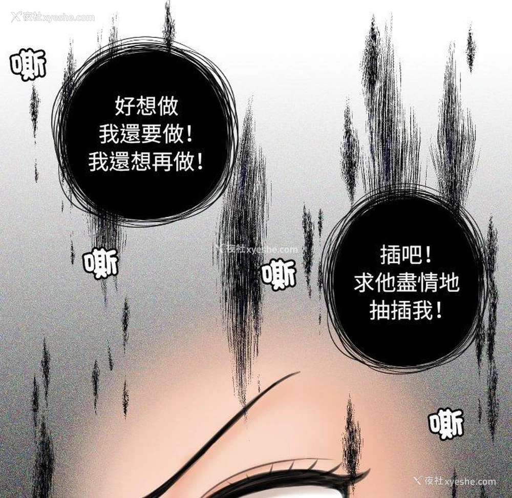 14P - 我的完美娃娃/我的专属娃娃