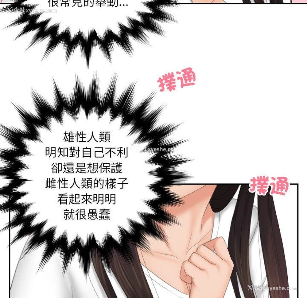 74P - 我的完美娃娃/我的专属娃娃
